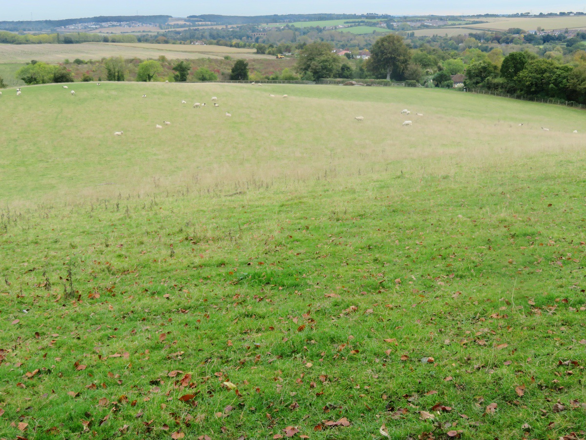 FarninghamSA06