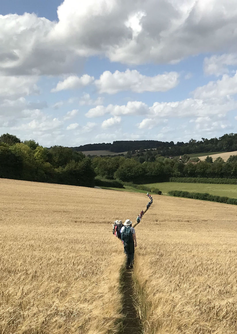 AmershamRW05