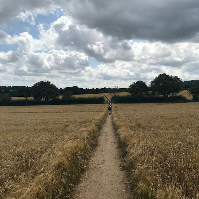 FarninghamMF05