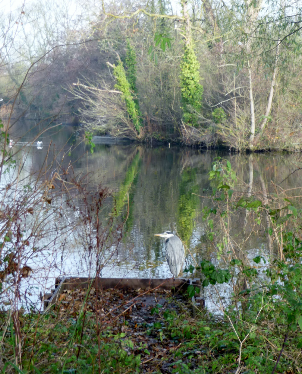 RickmansworthSE01