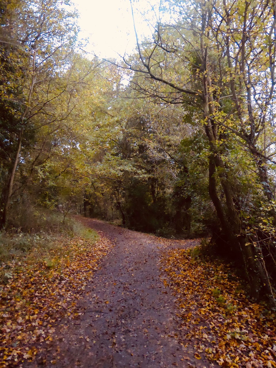ColchesterSW07