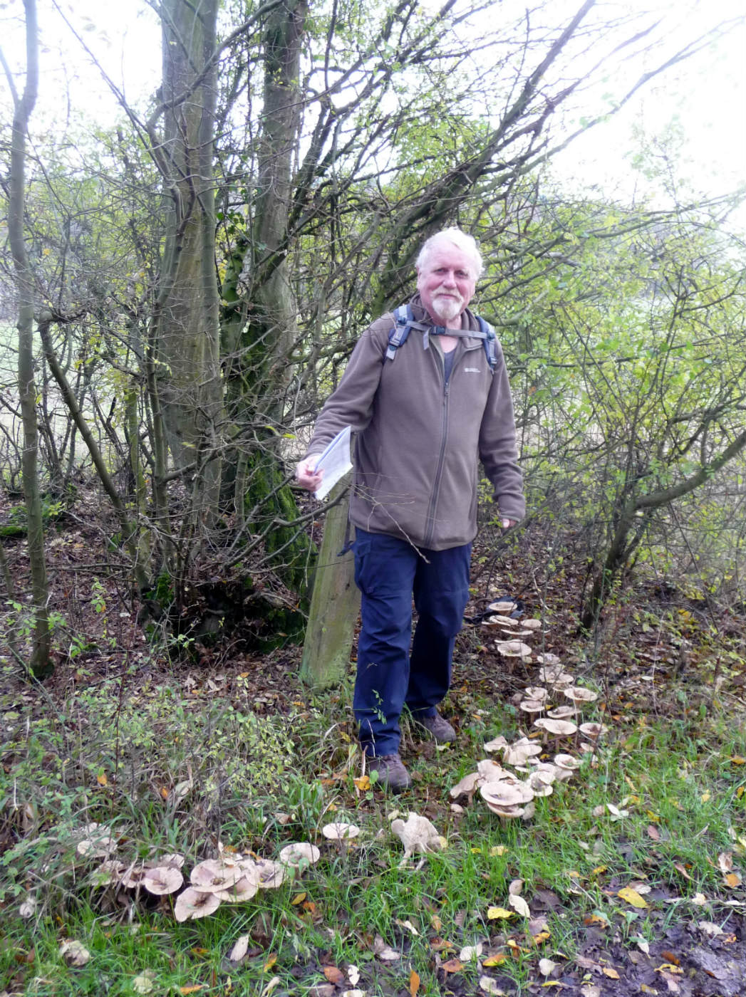 WelwynNoSE02