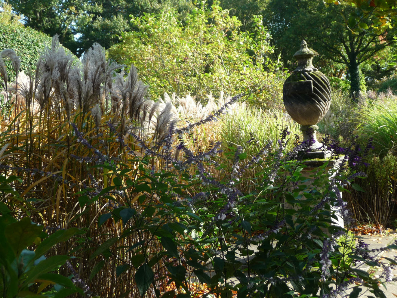 BoroughGreenSE04