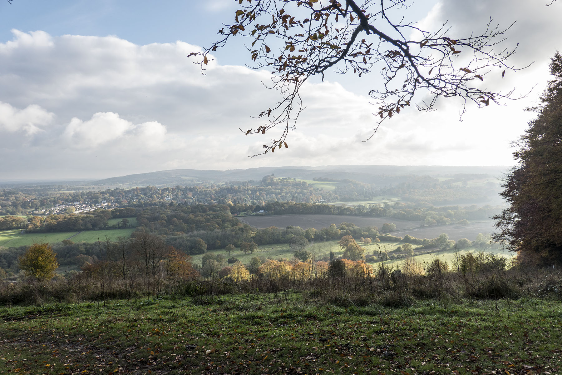 EffinghamBoxHillLandscape