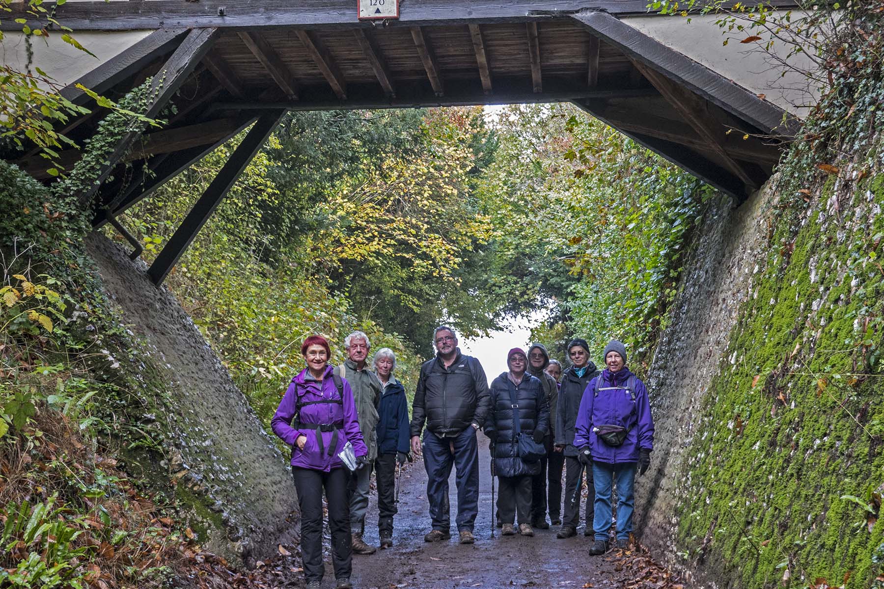 EffinghamBoxHillPolesdenLaceyGroupPhoto