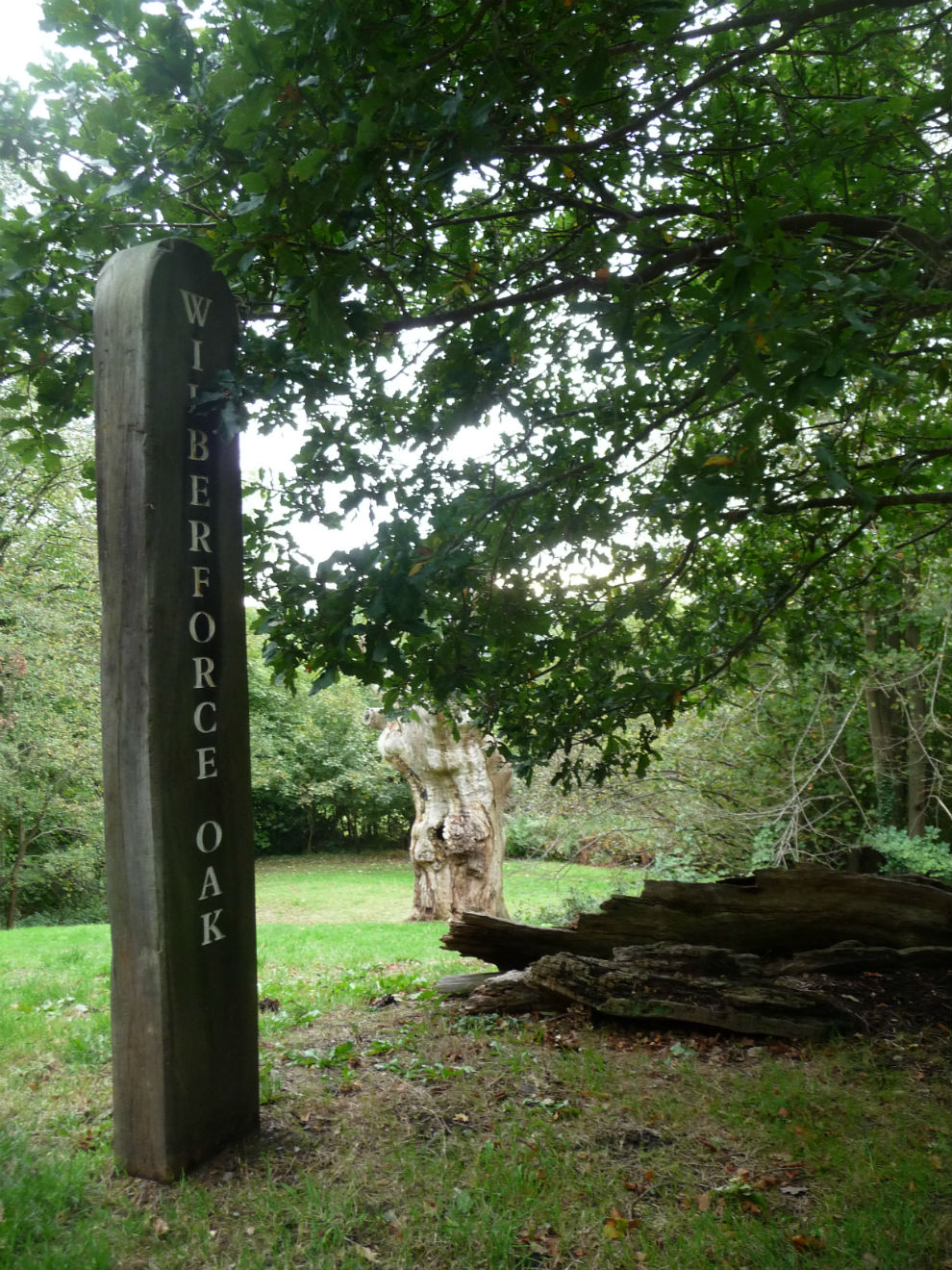 KnockholtSE04