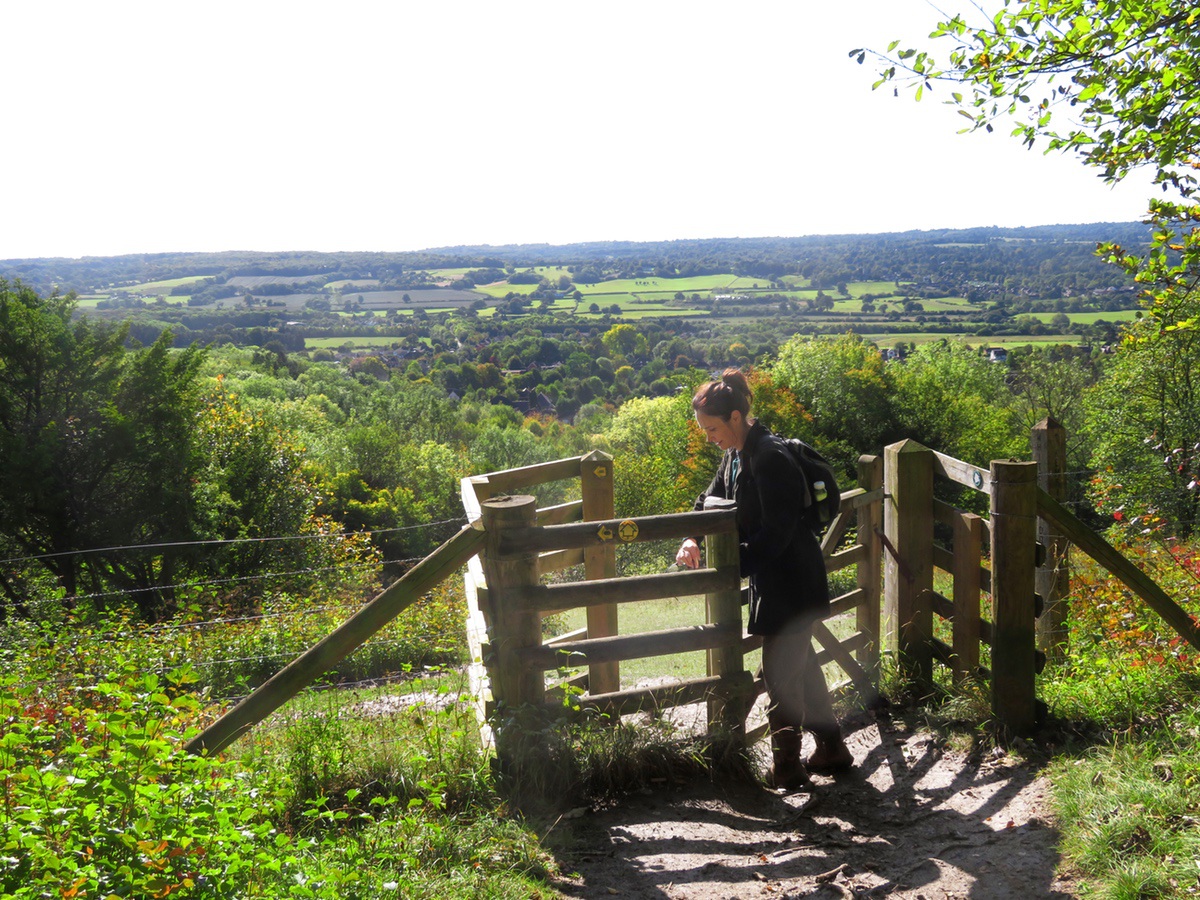 North Downs Way 457