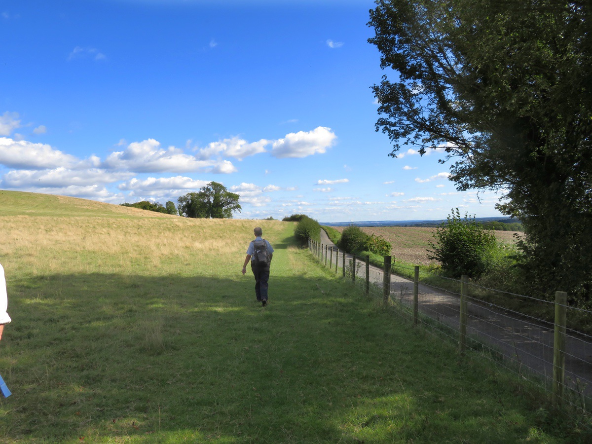 North Downs Way 489