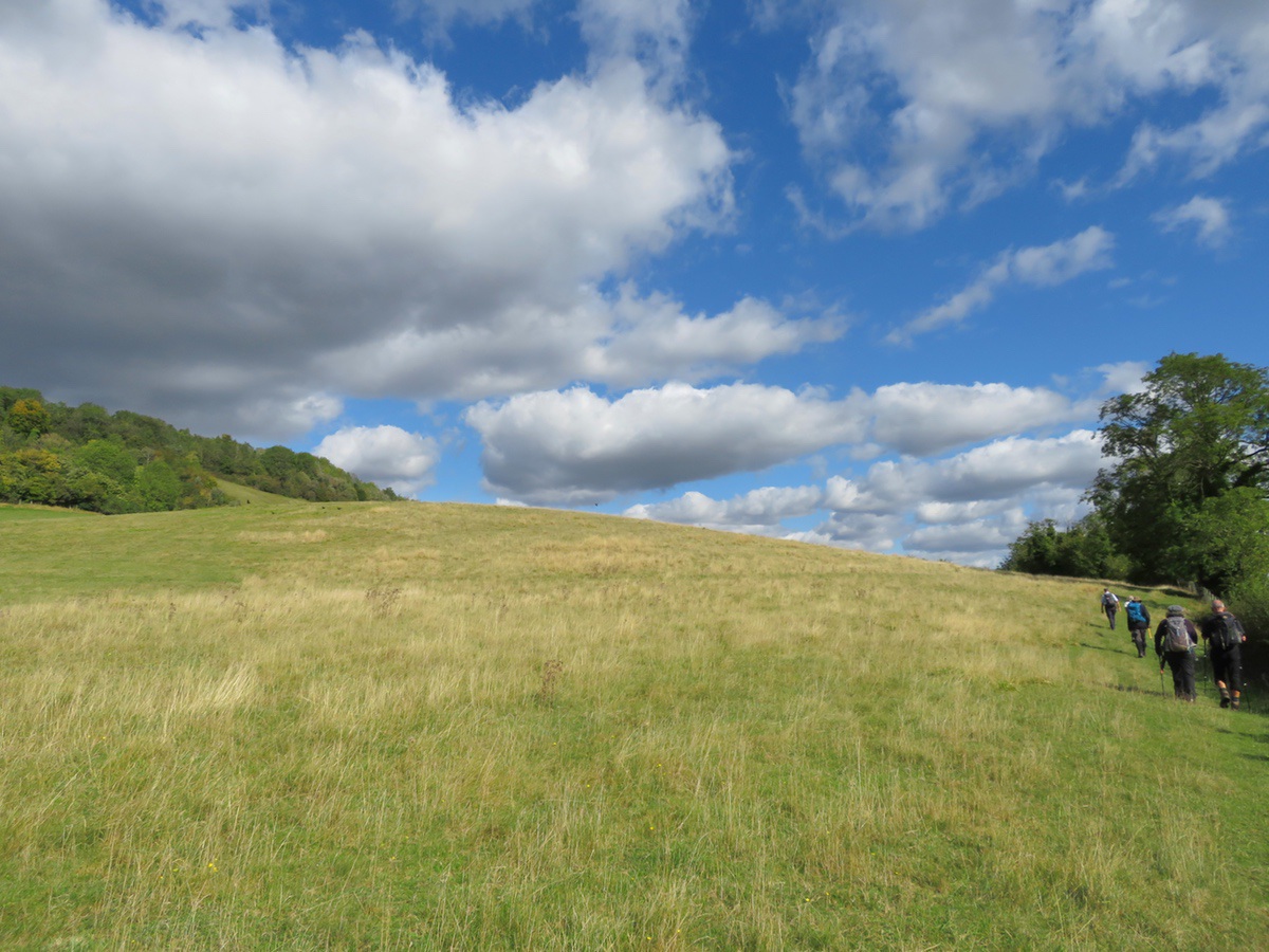 North Downs Way 490