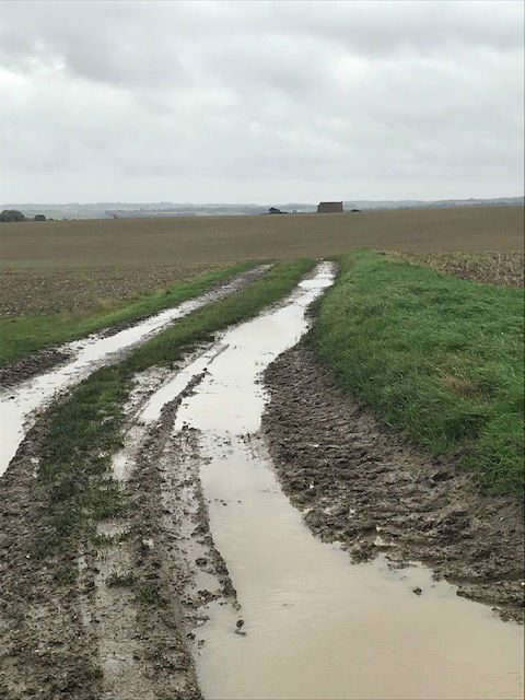 RoystonMF04