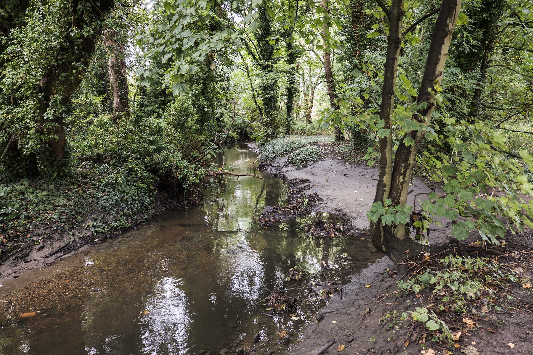HendonMillHillDollisBrook