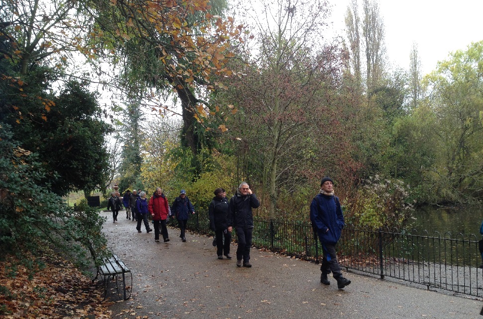Peckham4