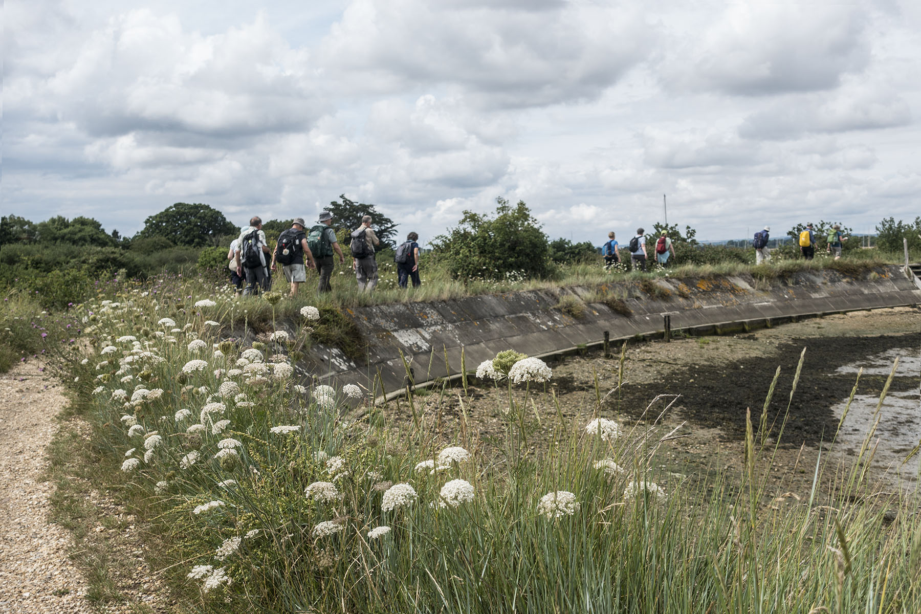 ChichesterHarbourRamblersItchenor
