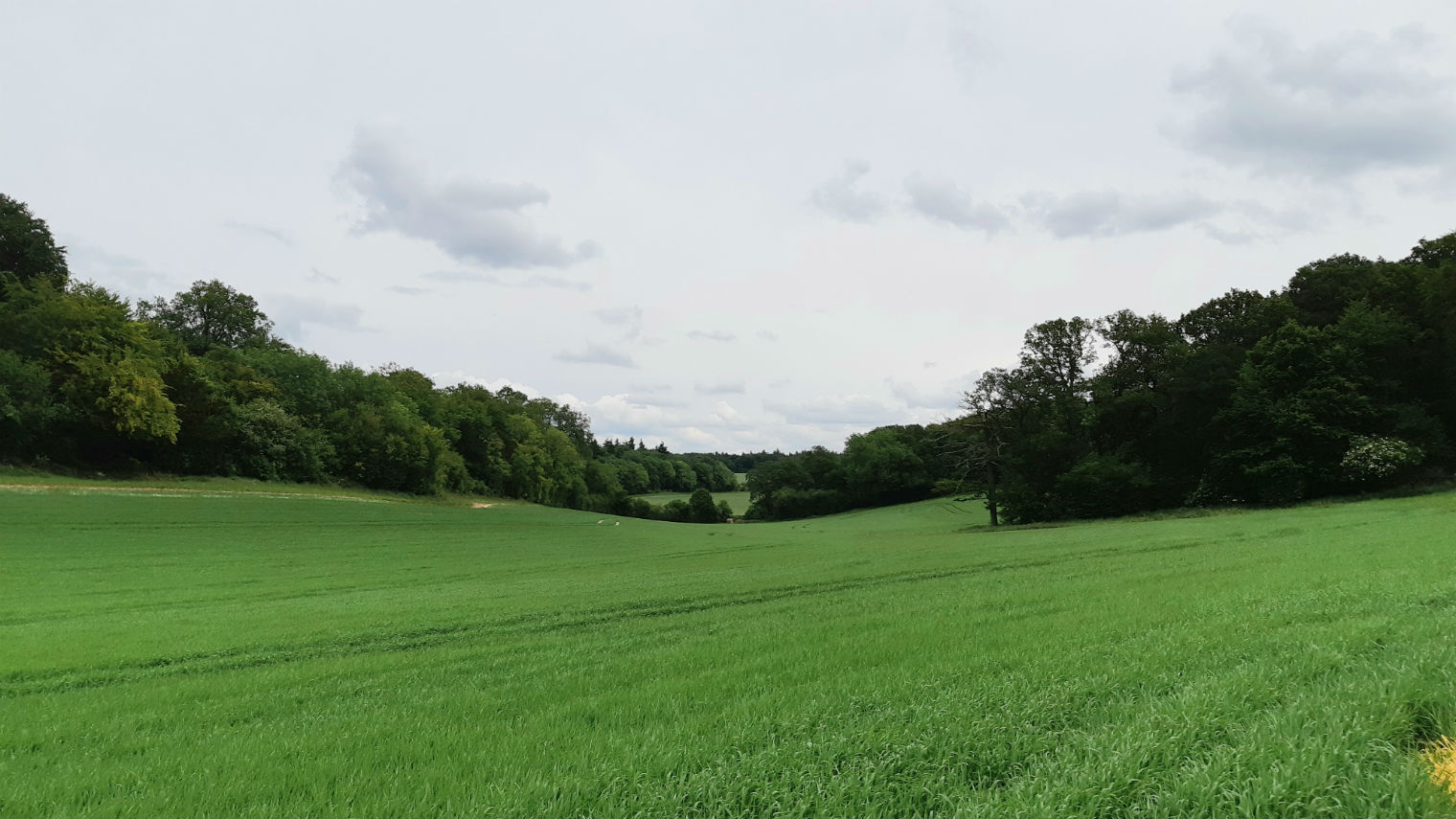 GoringDK01