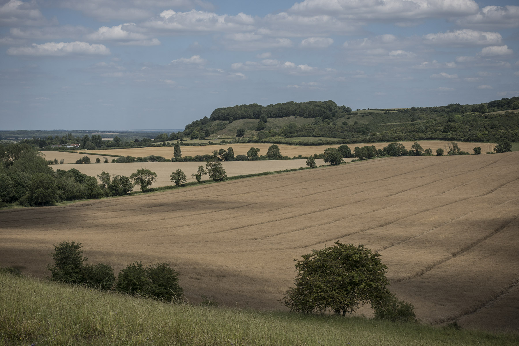 HarlingtonCircSharpenhoeClappersFarRetrun