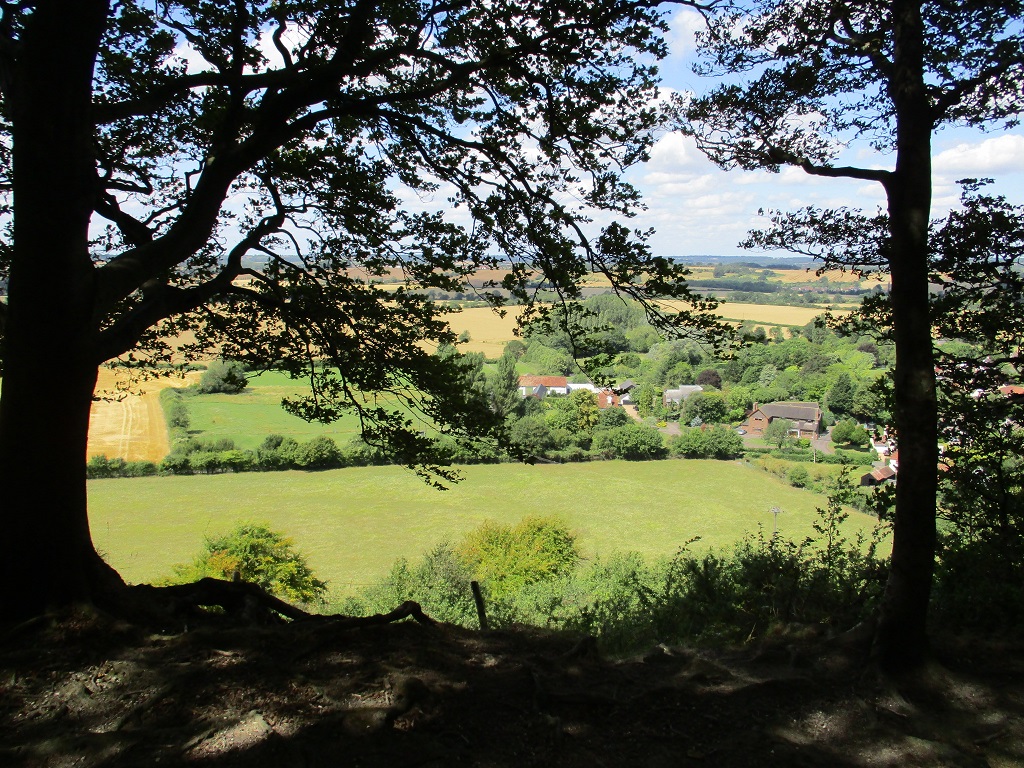 HarlingtonFHView