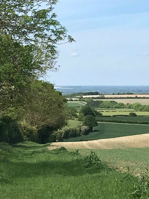 RoystonMF08