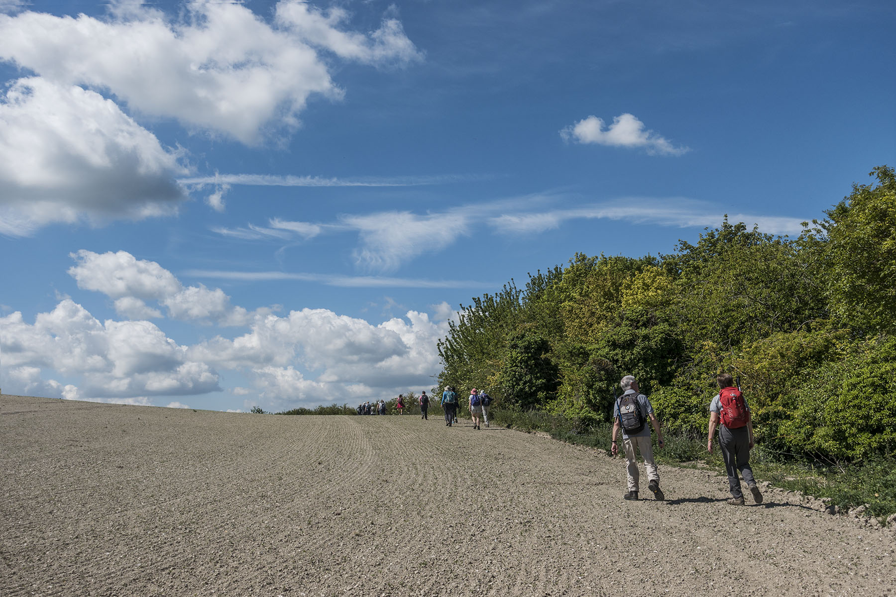 RoystonRamblersChalkField