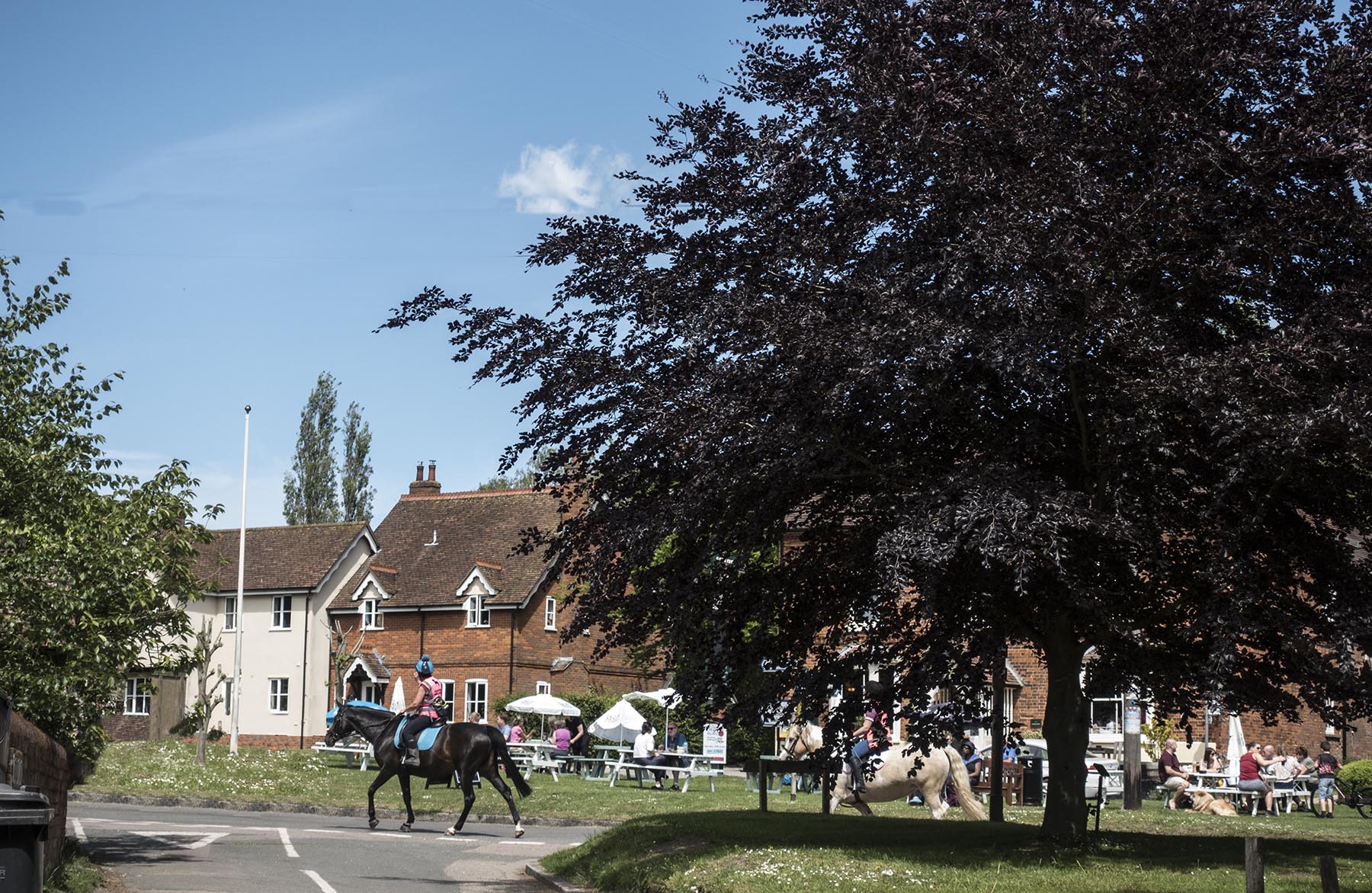 RoystonTherfieldVillage