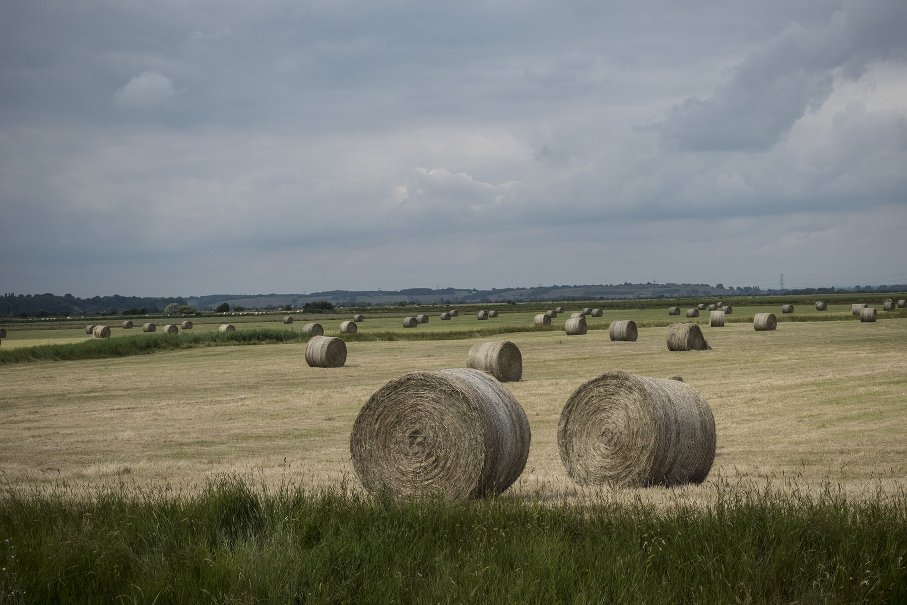RyeCircularCornBales