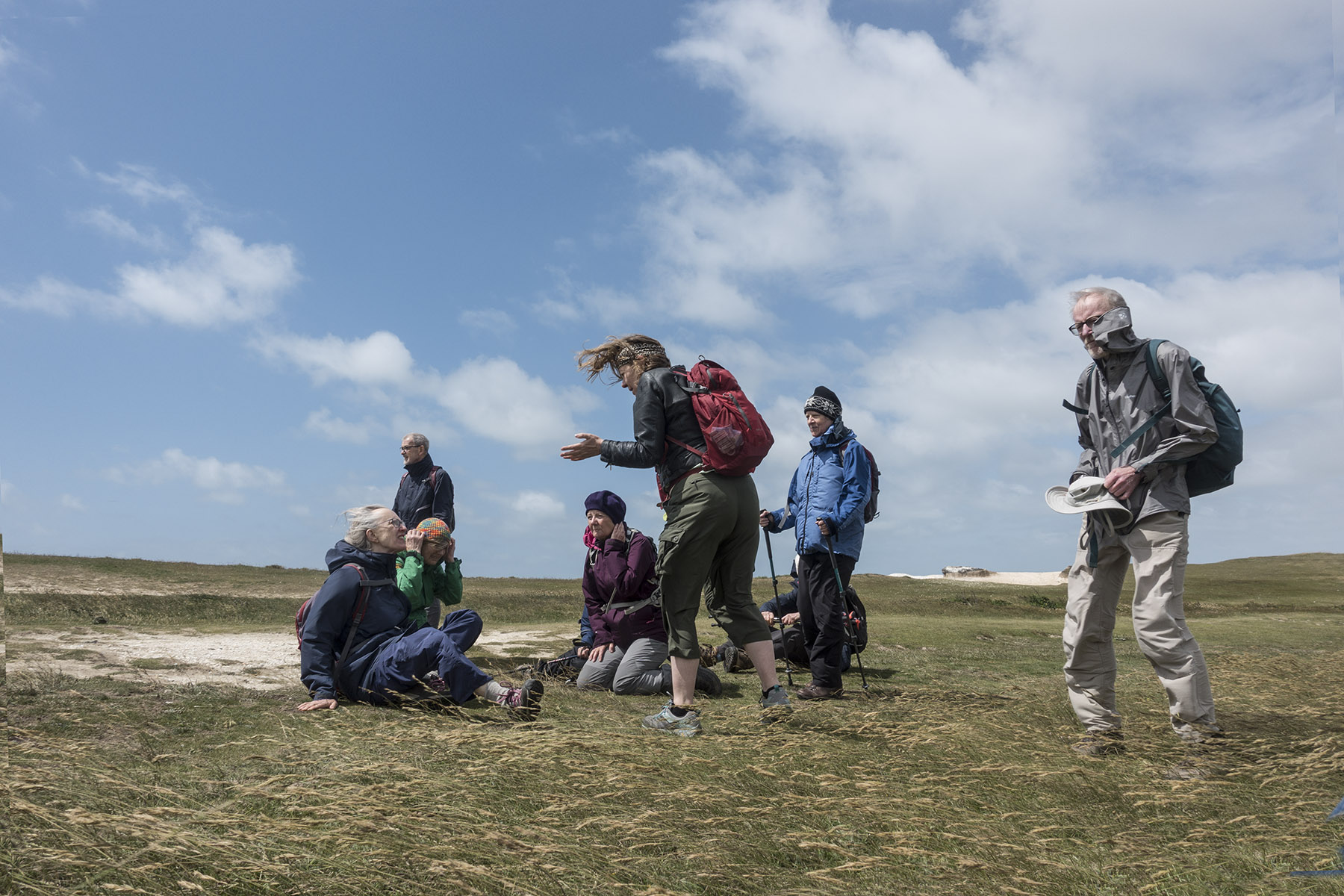 SeafordHeadWindsweptRamblers