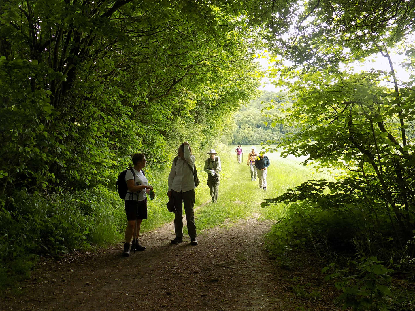 WendoverCS02