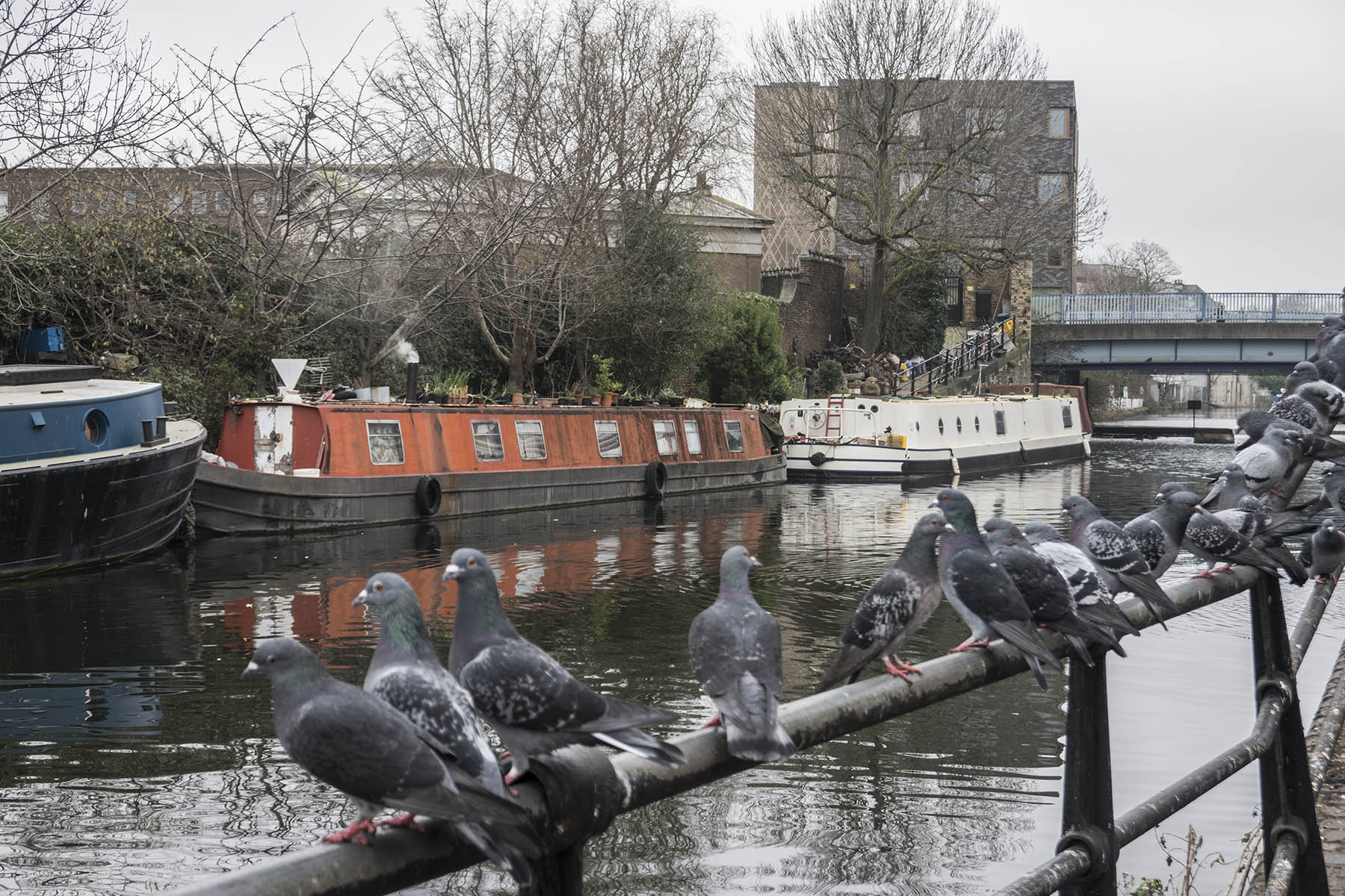 KensalGreentoBakerStPigeonsonCanal