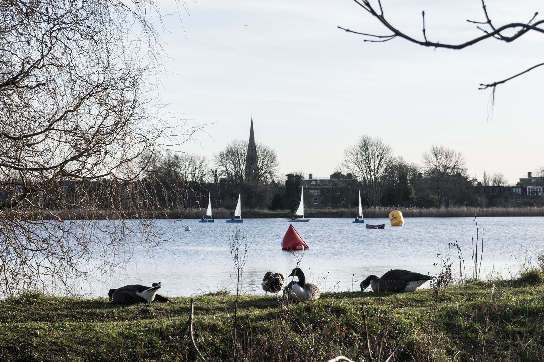 StratfordtoFinsburyParkWoodberryWetlands