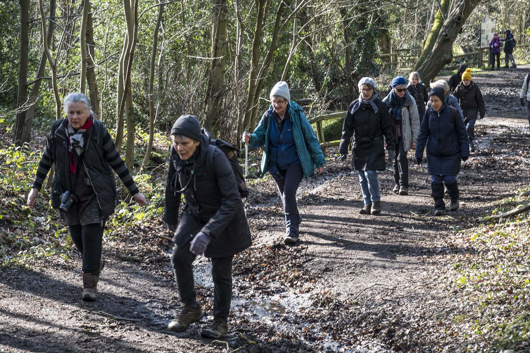 GordonHillCircWoodswRamblers