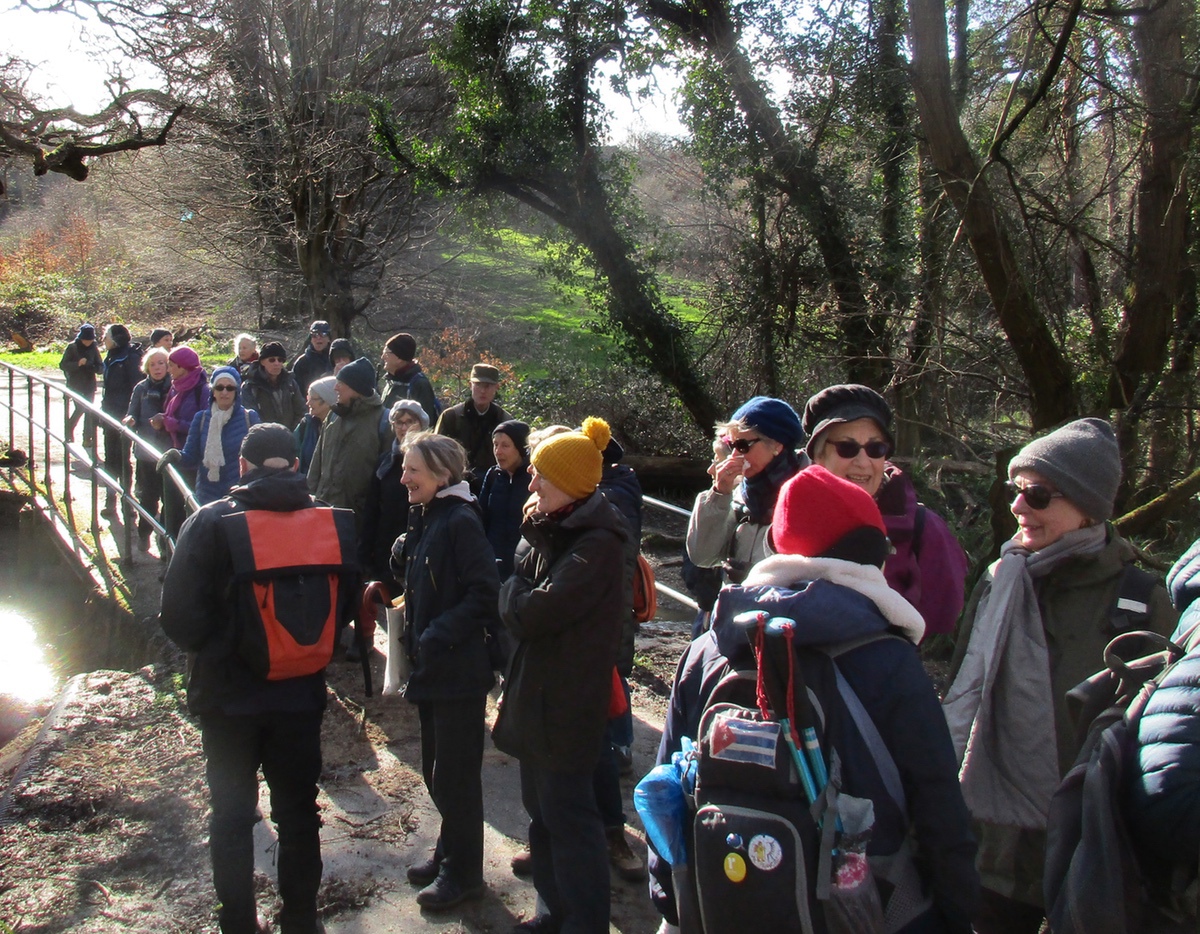 GordonSAForty Hall Walk 3
