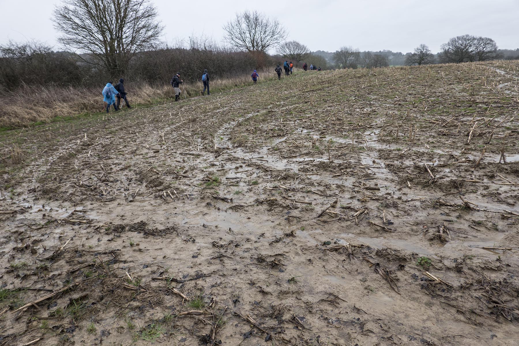 HurstGreentoOxtedMud