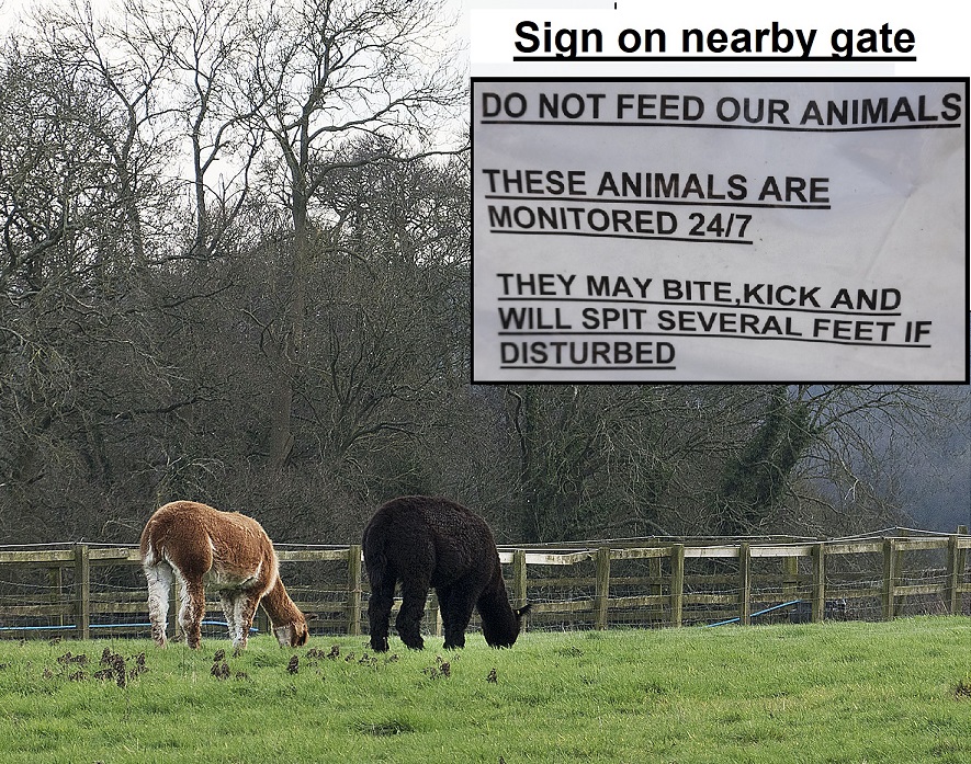 AlpacaCheshamBeware