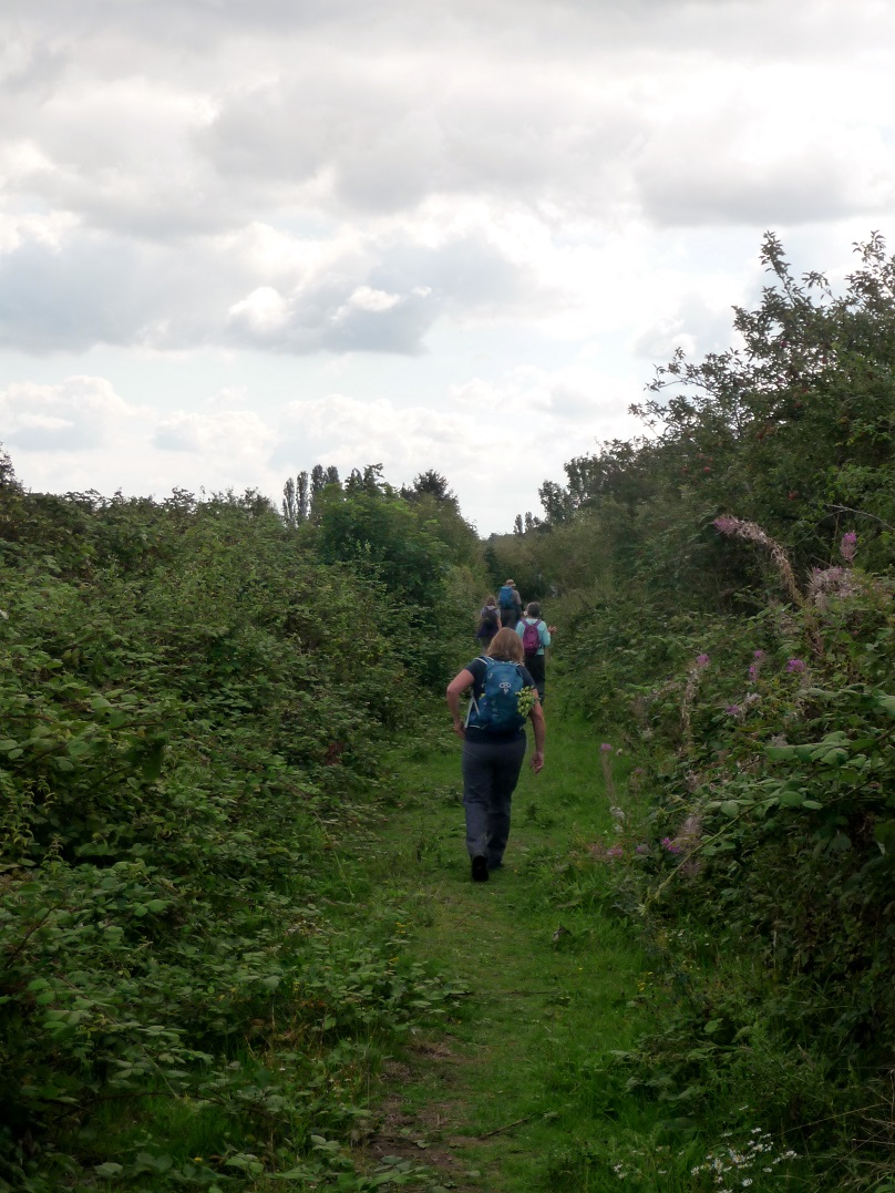 FarninghamSE02