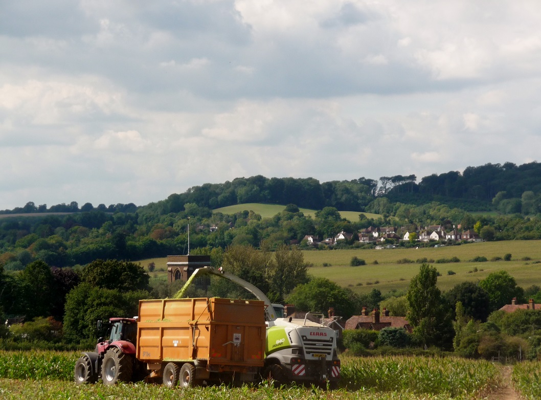 FarninghamSE04