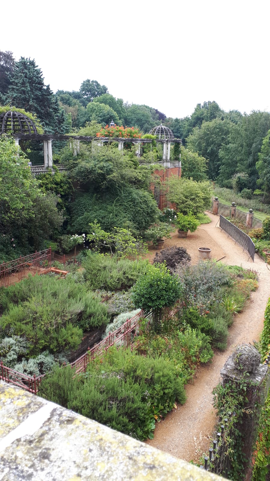 HampsteadTreesGB06