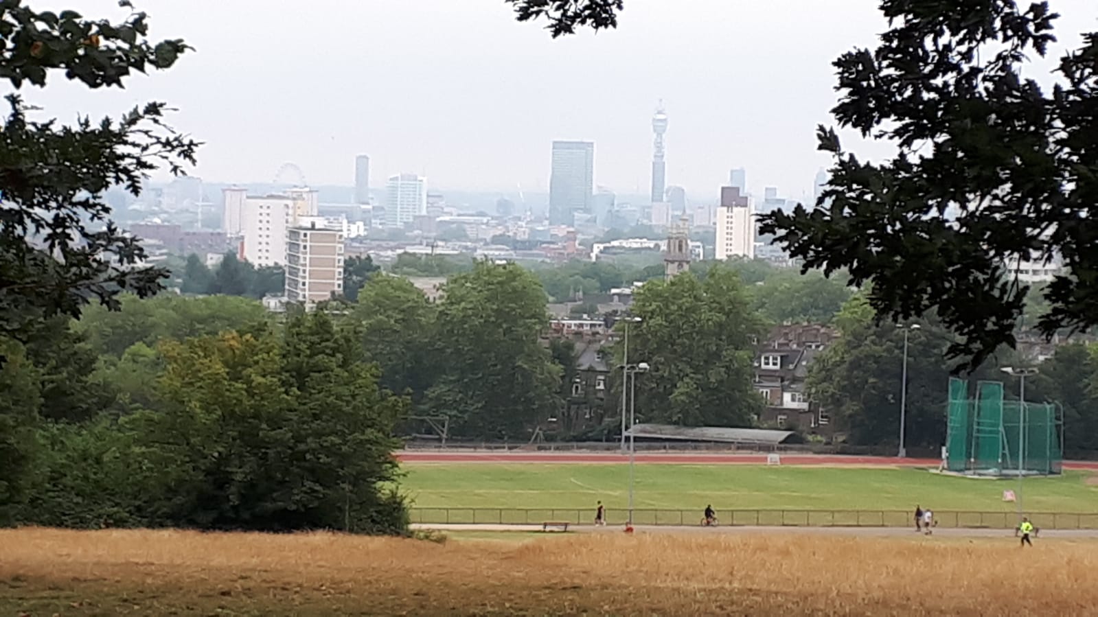 HampsteadTreesGB08