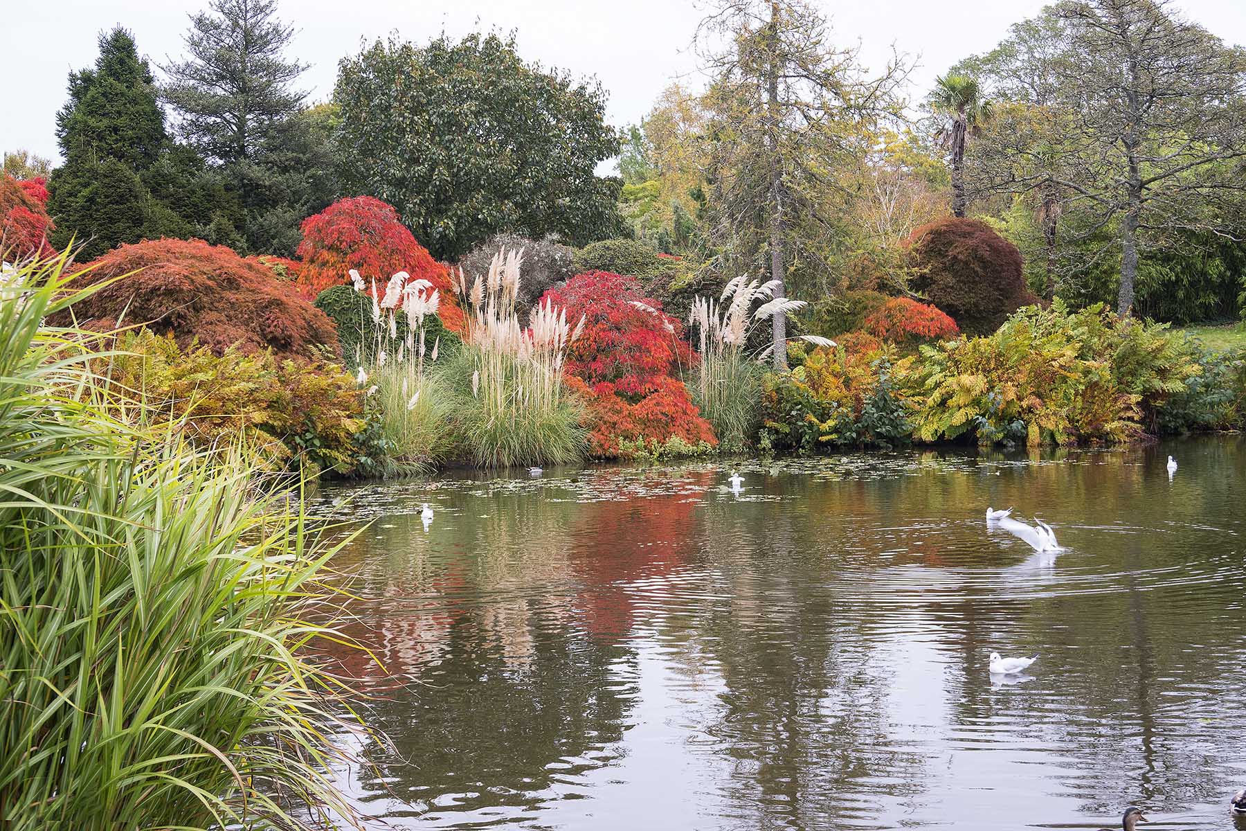 BalcombeCircrWakehurstPlaceLake1