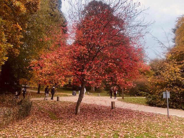 BalcombeDM04
