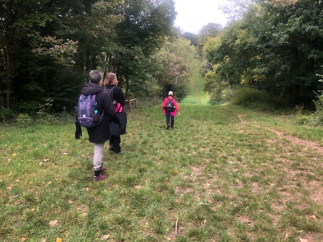 RiddlesdownDM02