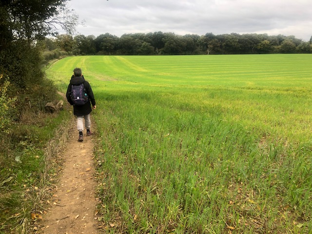 RiddlesdownDM03