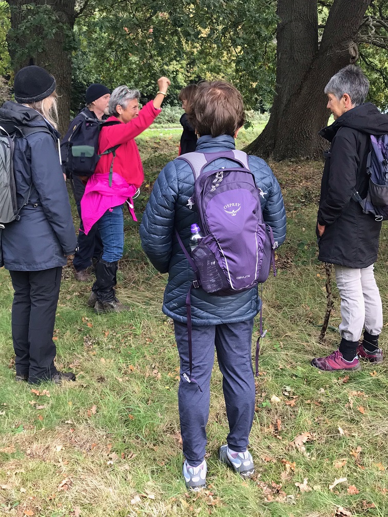 RiddlesdownRW04