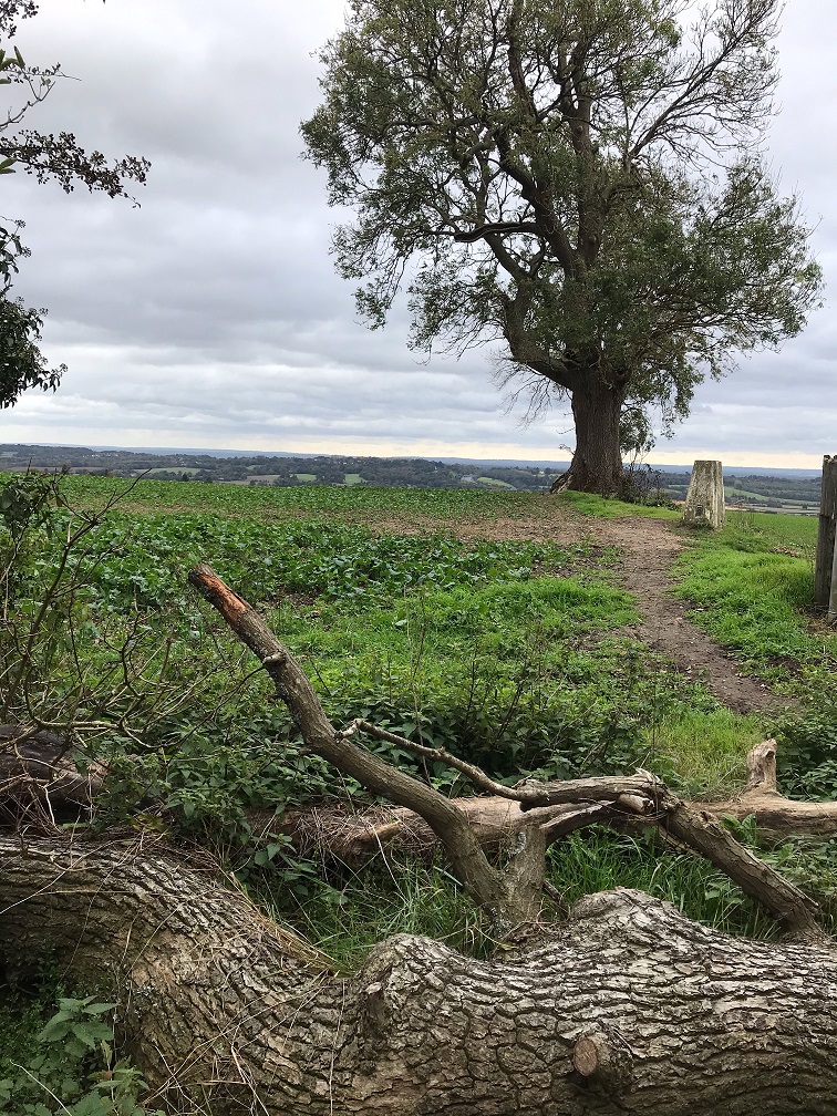 RiddlesdownRW06