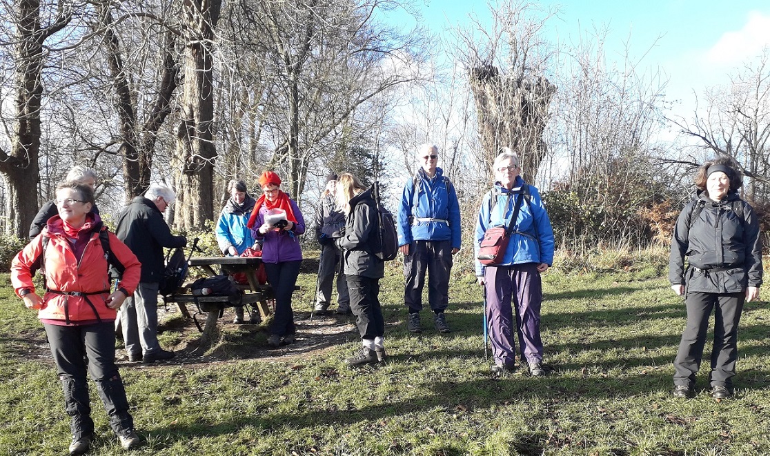 BoxHillDH01