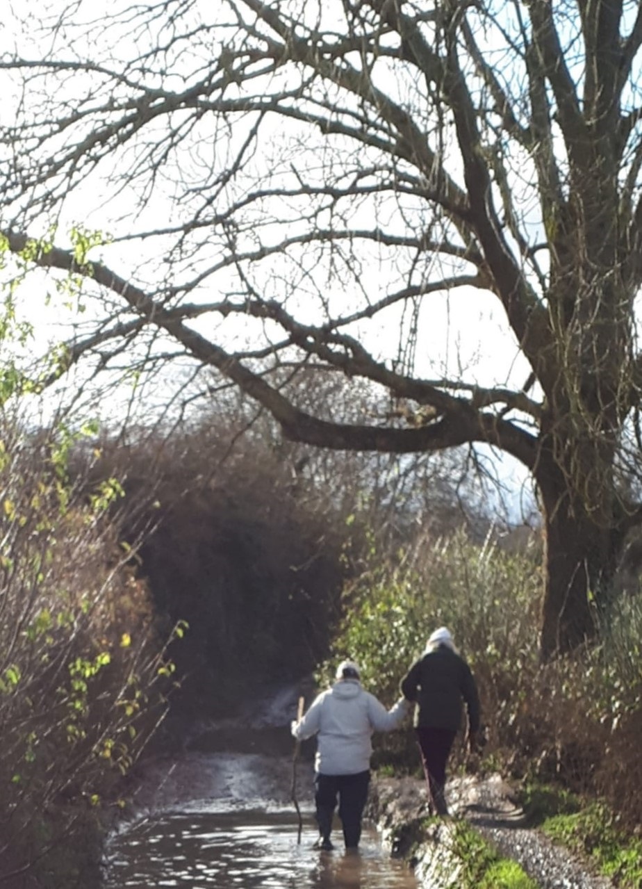BoxHillGB01