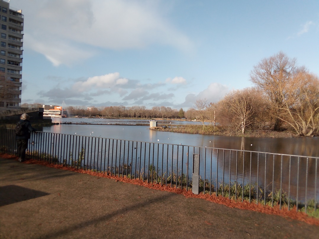 LesnesBM03southmere