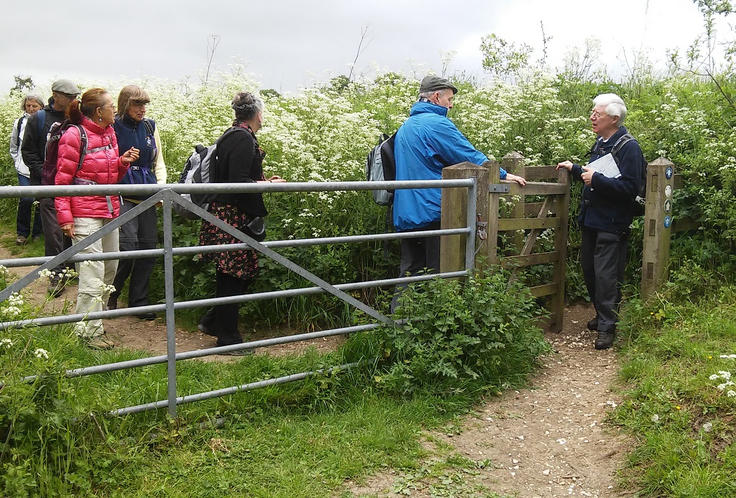 HarpendenStile May2016