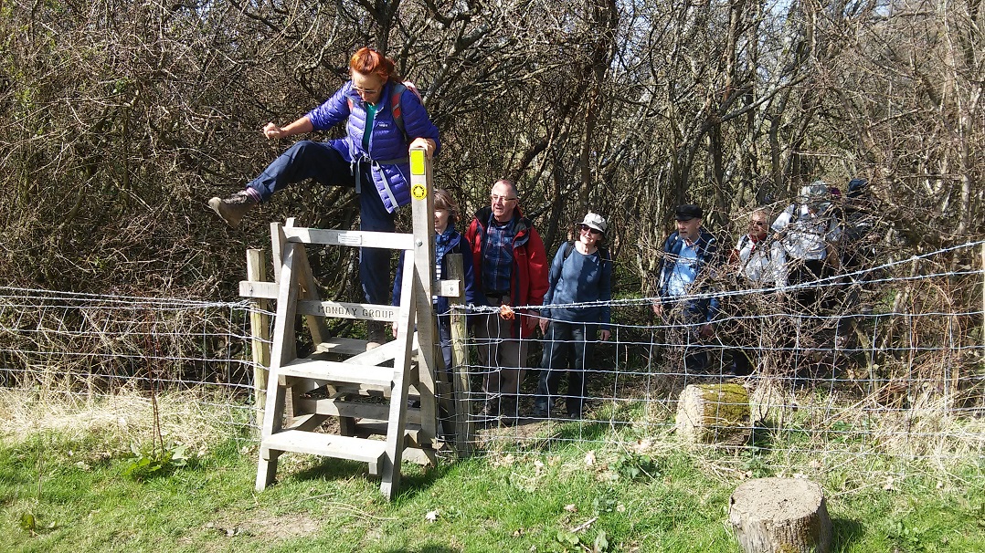 StileChristine Apr2016