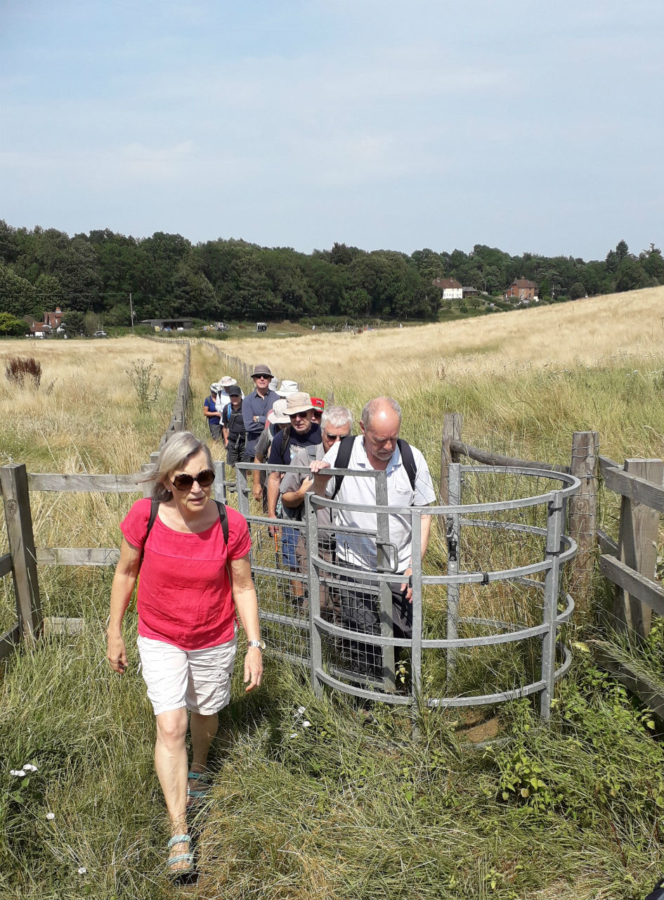 WitleyDH03 Aug2019