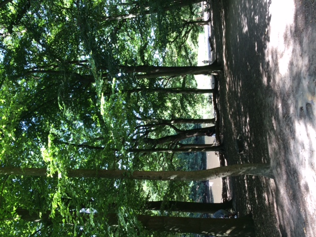 PutneyCK06