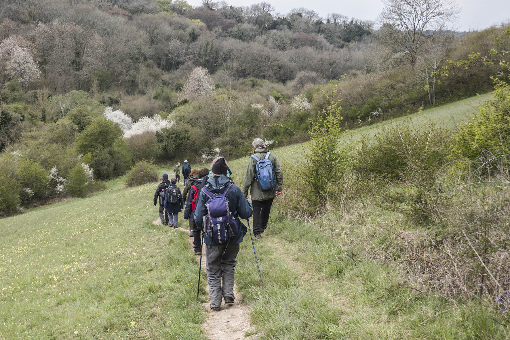 KenleytoCoulsdonSRamblersDownhill